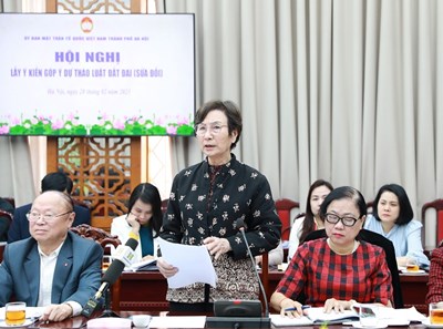 There should be strict regulations in planning adjustment - Vietnam.vn