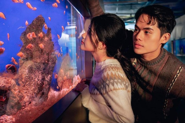 Theo chân Gen Z khám phá thủy cung Nha Trang: Huyền ảo như "Finding Nemo"! - 3