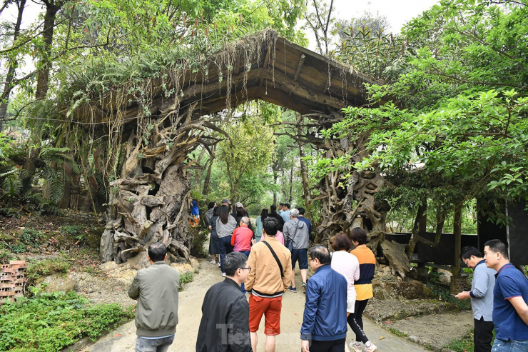 Sin Suối Hồ - 'Thiên đường trong mây' ở Lai Châu - 1