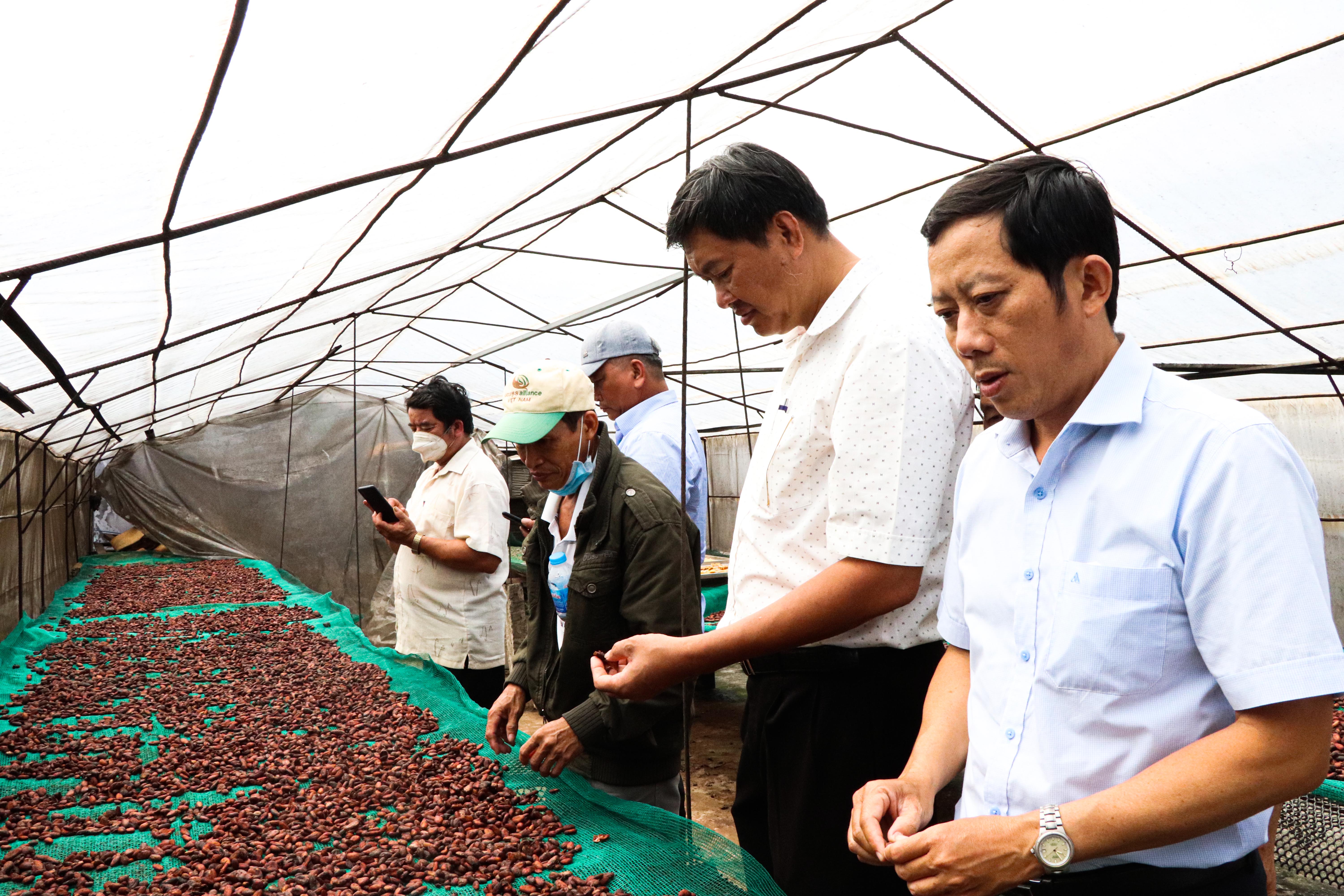 Ông Trần Văn Mảng, Phó Chủ tịch Hội Nông dân tỉnh thăm quan cơ sở chế biến ca cao tại Công ty TNHH TM-DV-SX Ca cao Thành Đạt, xã Xà Bang (huyện Châu Đức).