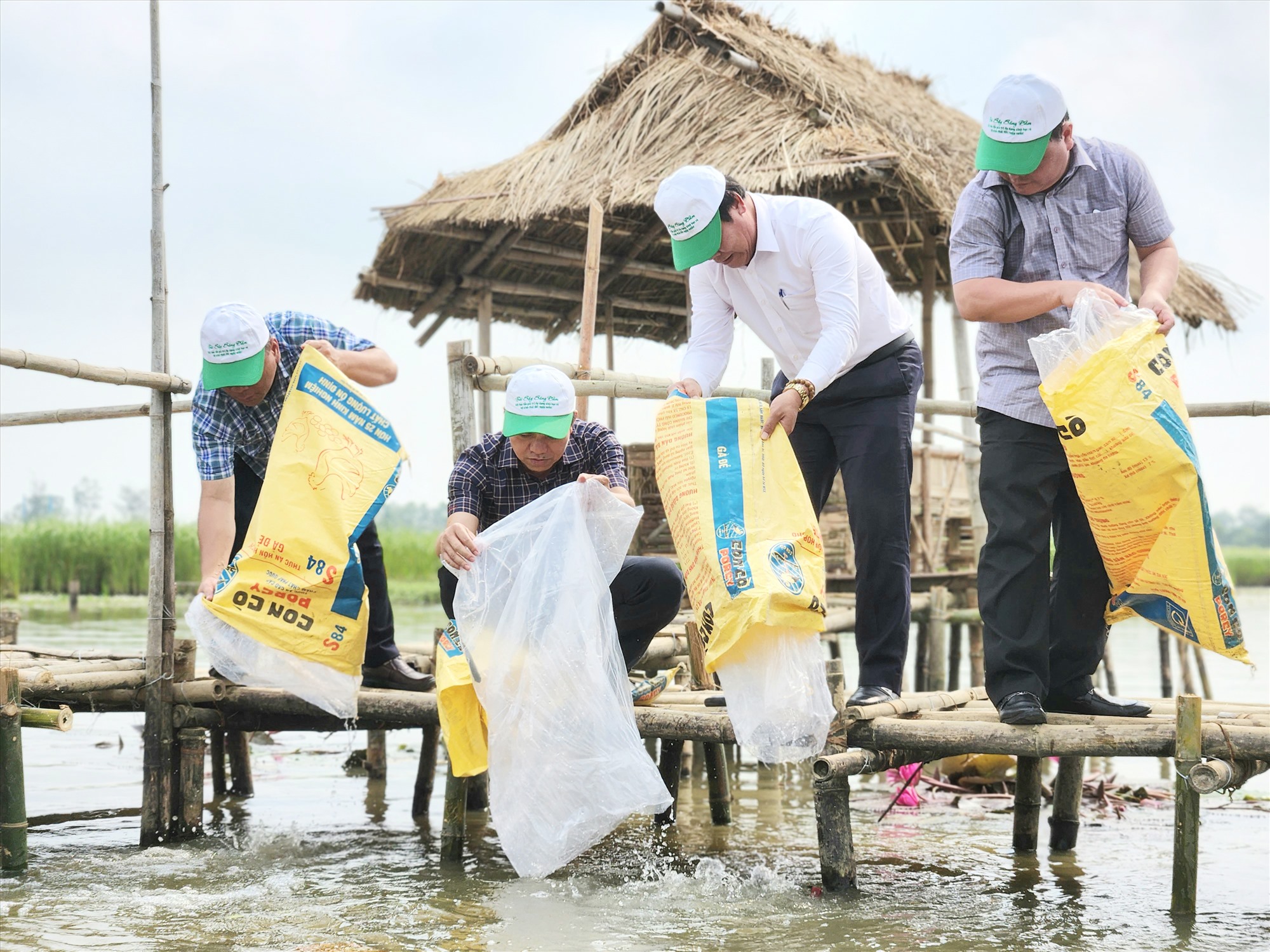 Lãnh đạo tỉnh thả cá giống xuống sông Đầm tại lễ phát động. Ảnh: Q.T