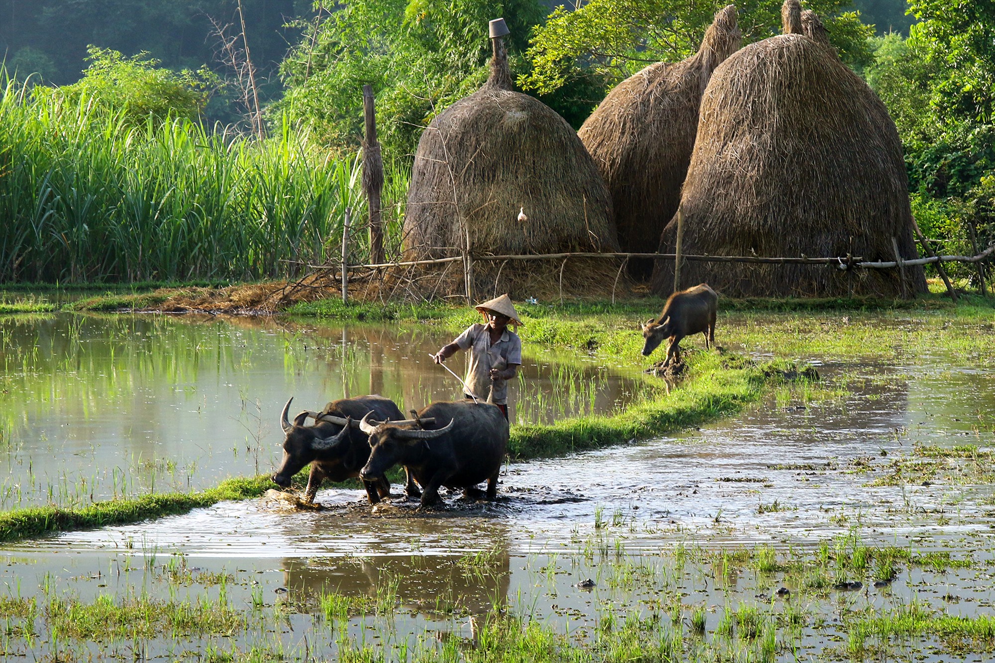 Làm đồng. Ảnh: Đặng Kế Đông