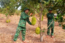 Đồn Biên phòng Ia Nan tăng gia sản xuất để nuôi quân khỏe