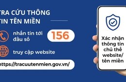 Sử dụng đầu số 156 để tra cứu thông tin tên miền