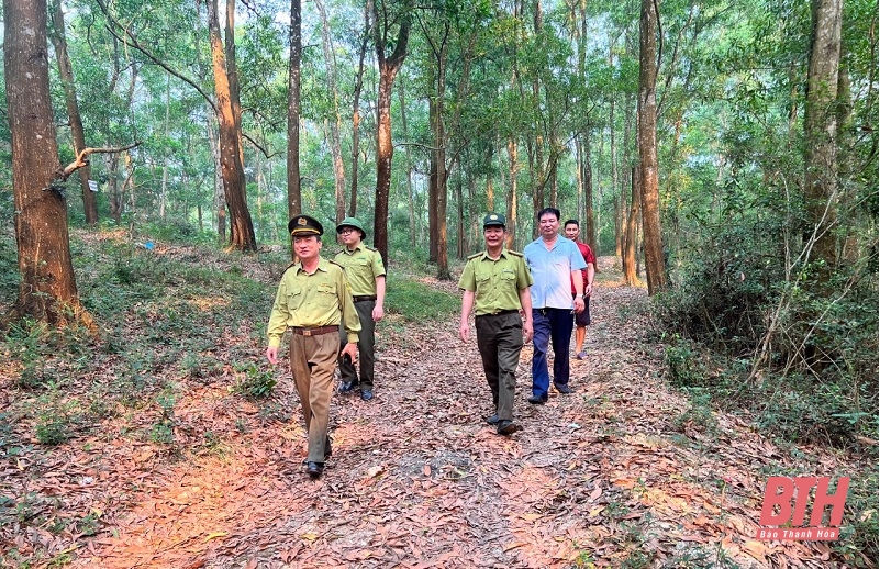 Tăng cường đấu tranh chống vận chuyển, buôn bán lâm sản trái phép và phòng cháy, chữa cháy rừng