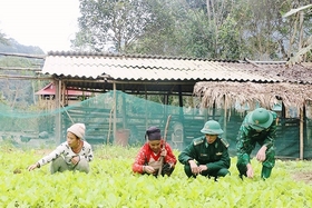 Nghệ An: “Quả ngọt” của những tháng ngày “ba cùng, bốn bám”