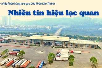 Nhiều tín hiệu lạc quan