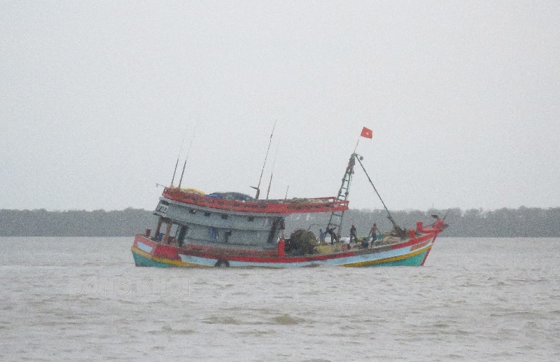 Tích cực vào cuộc tháo gỡ thẻ vàng cho thủy sản Việt Nam