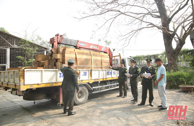 Tăng cường đấu tranh chống vận chuyển, buôn bán lâm sản trái phép và phòng cháy, chữa cháy rừng