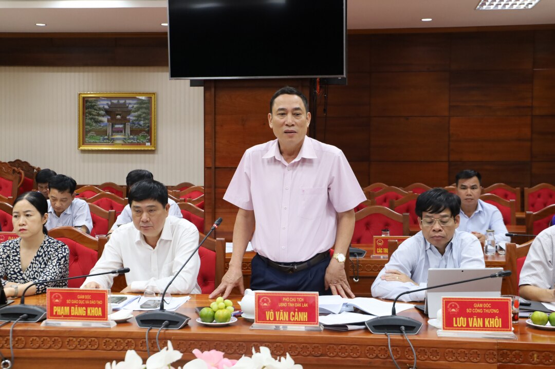 Phó Chủ tịch UBND tỉnh Võ Văn Cảnh kiến nghị một số vấn đề tại buổi làm việc.