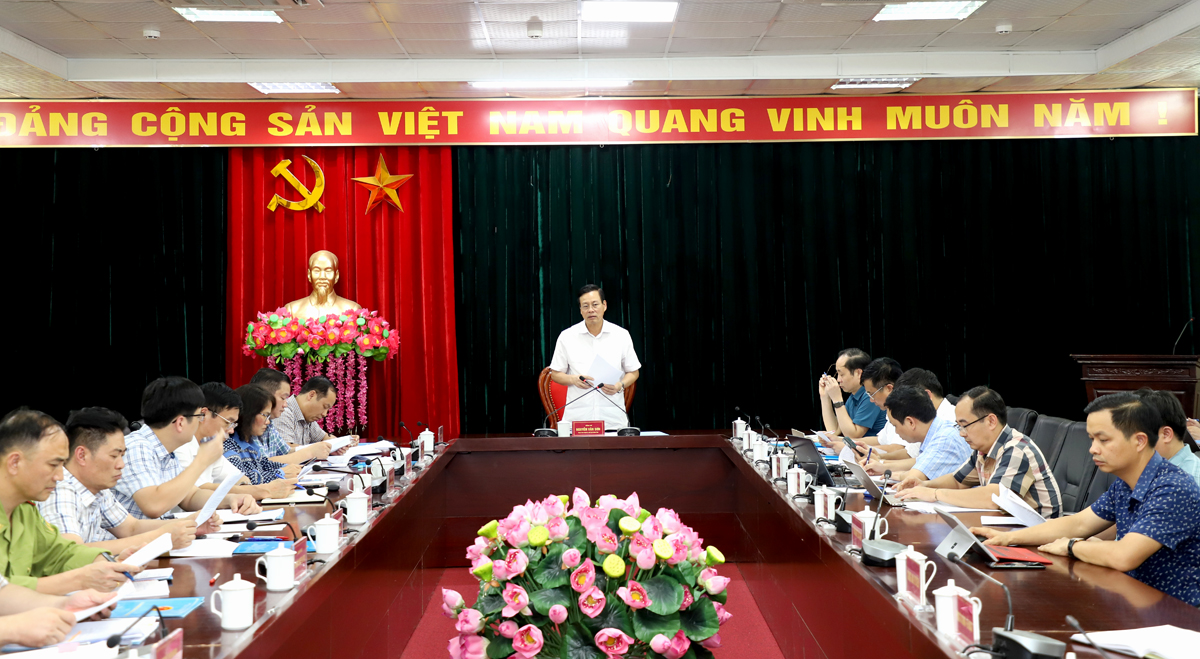 Chairman of the Provincial People's Committee Nguyen Van Son inspects ...