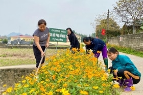 Huyện Phù Ninh có 25km đường hoa do phụ nữ thực hiện