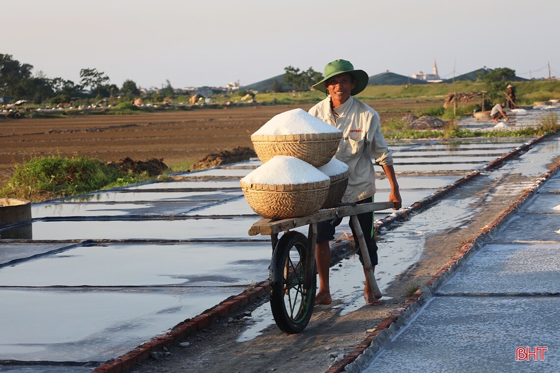 Salzpreise steigen, Salzbauern in Ha Tinh freuen sich darauf, sich für die  Produktion an die Sonne zu klammern – Vietnam.vn