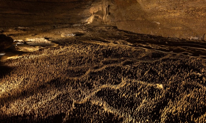 Cấu trúc 100.000 binh sĩ trong hang động Trabuc là bí ẩn địa chất chưa có lời giải. Ảnh: David PAGIS/ Wikimedia Commons