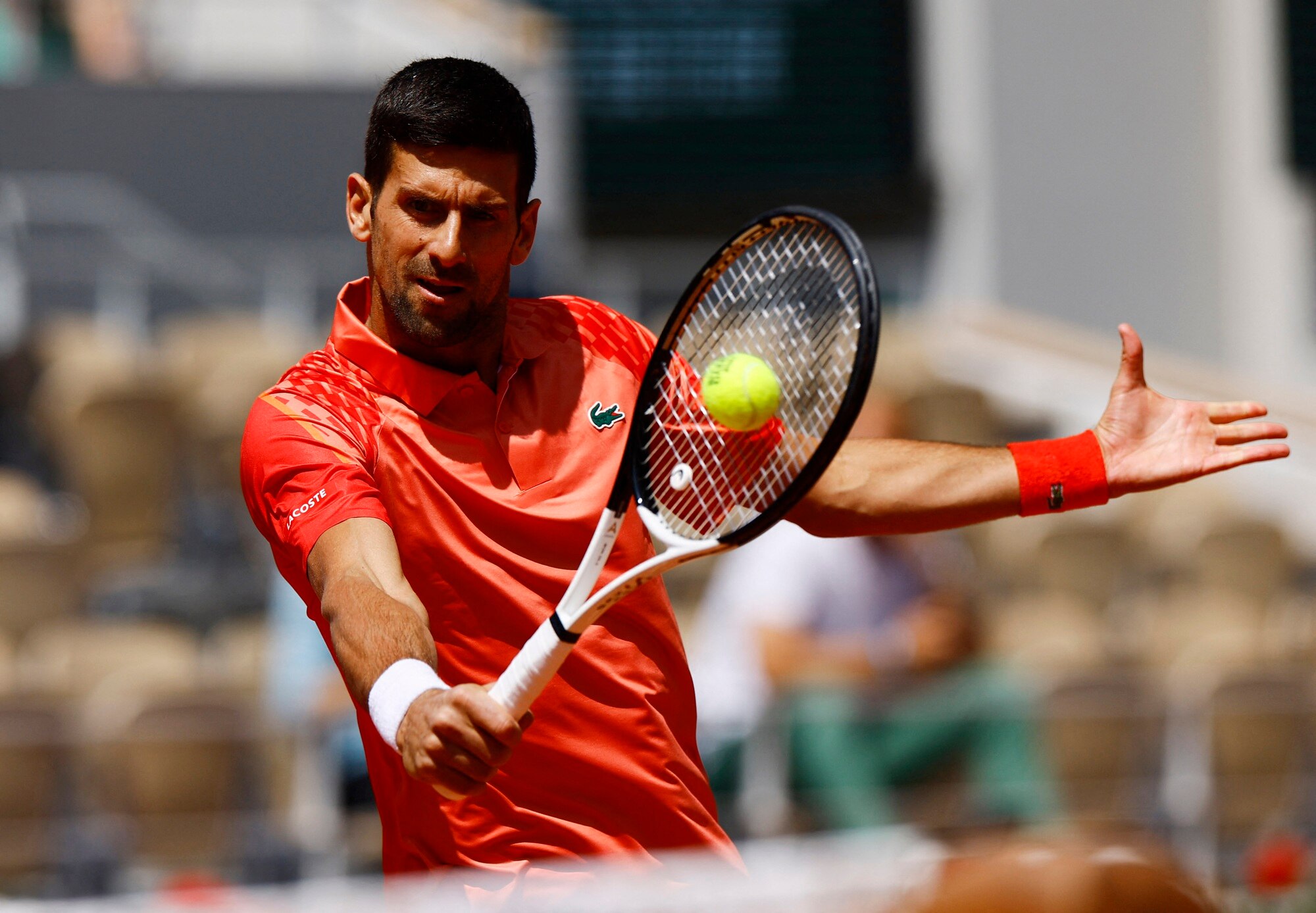 ラコステRoland Garros ノバク・ジョコビッチ 国内在庫あり