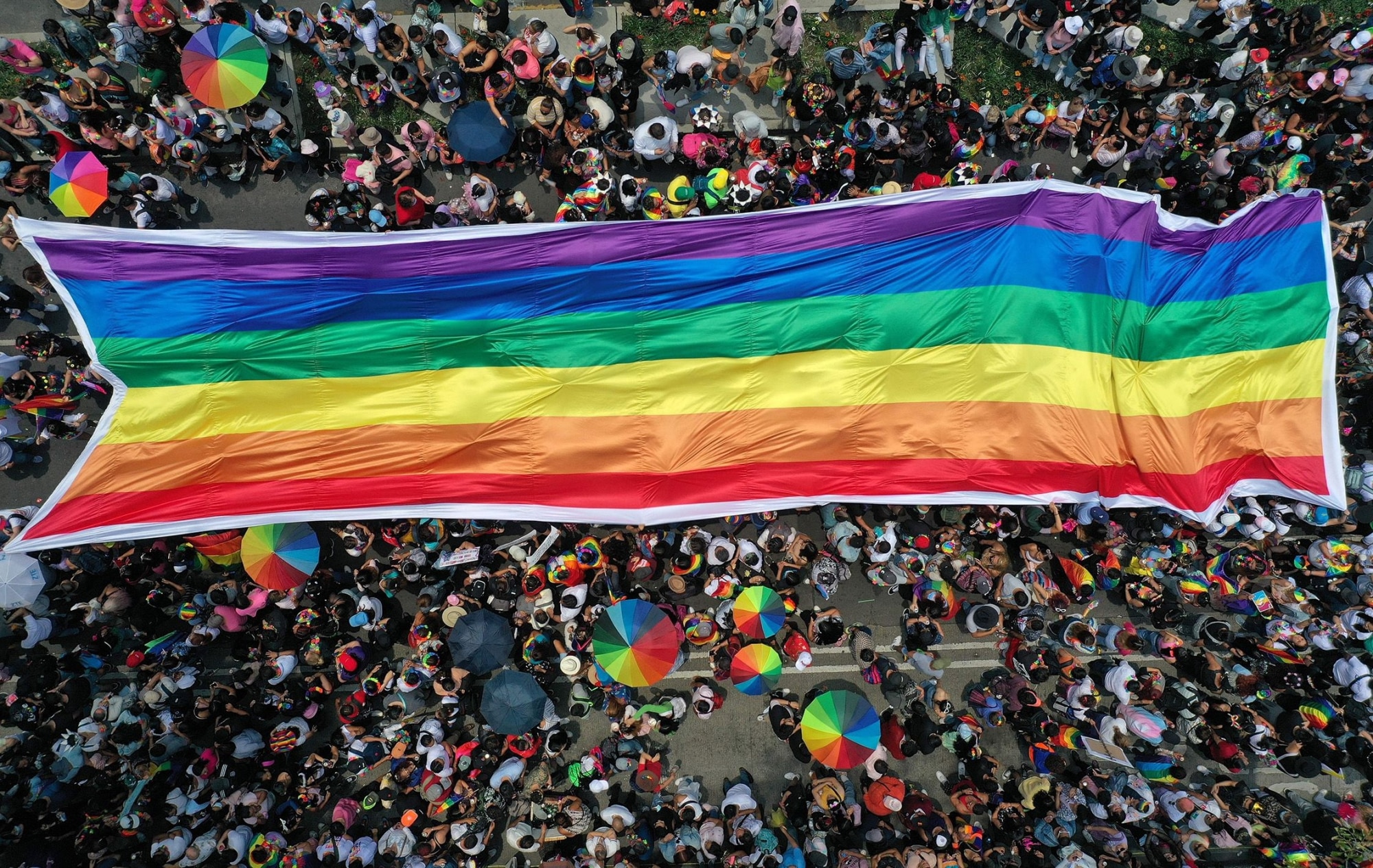 Около 9% взрослых в 30 странах являются ЛГБТК - Vietnam.vn