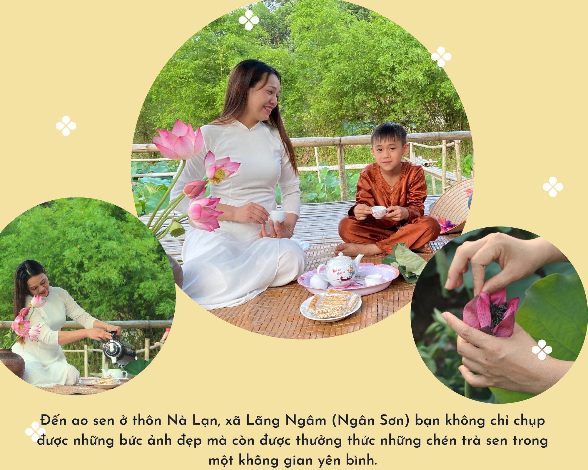 lotus-season-in-june-electronic-bac-kan-newspaper-vietnam-vn