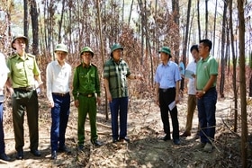Kiểm tra công tác phòng cháy, chữa cháy rừng tại huyện Vĩnh Linh