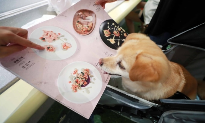 Nhà hàng đầu tiên dành riêng cho thú cưng, không phục vụ thức ăn cho chủ khai trương tại Thượng Hải vào 2021. Ảnh: IC