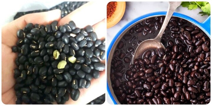 Haricots noirs : quels sont les bienfaits de ces haricots secs ?