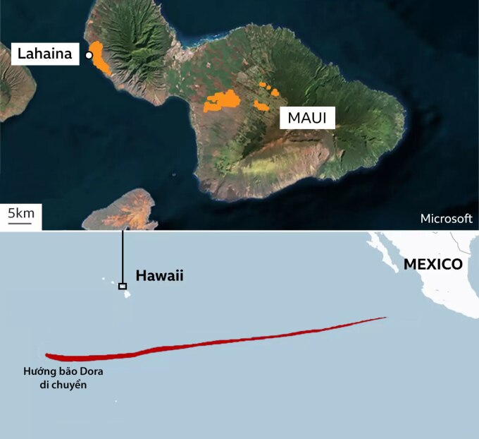 Vị trí đảo Maui và đường đi của bão Dora. Đồ họa: BBC
