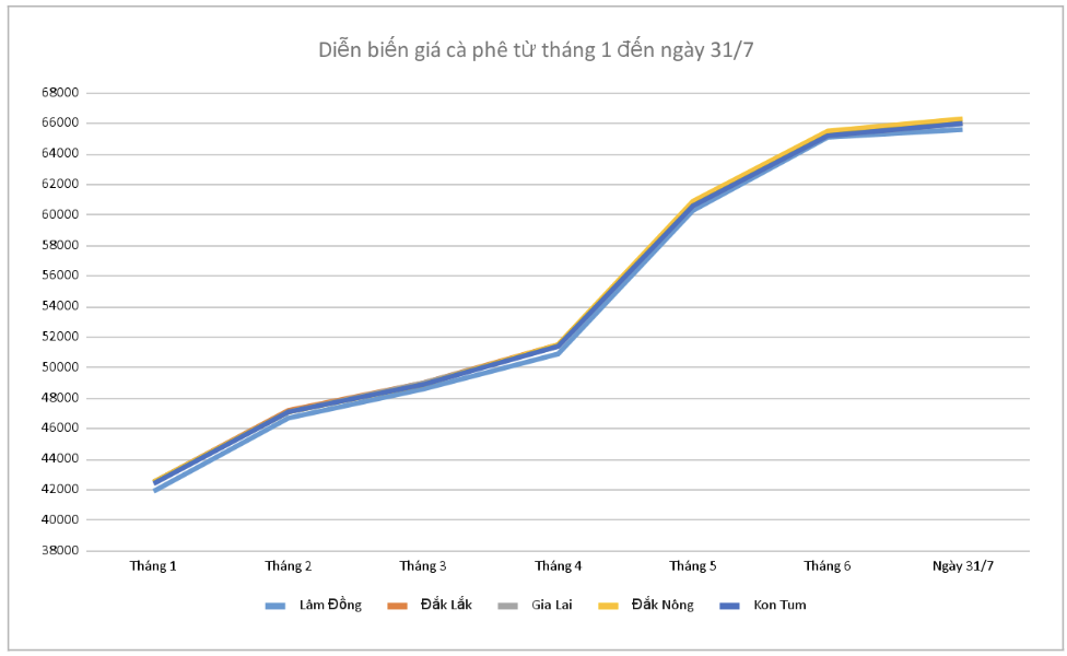 Going sideways, the highest is 66.300 VND/kg - Vietnam.vn