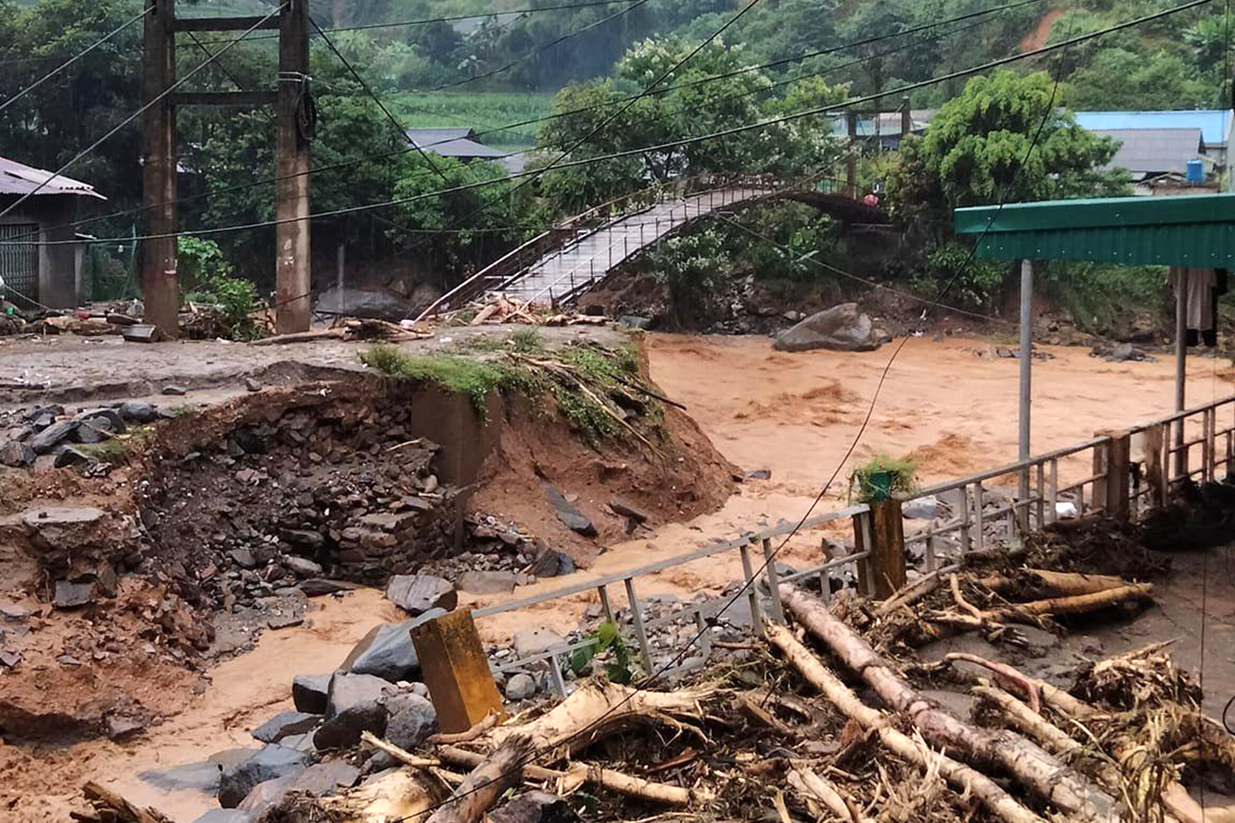 Давайте посмотрим, как люди влияют на лес» - Vietnam.vn