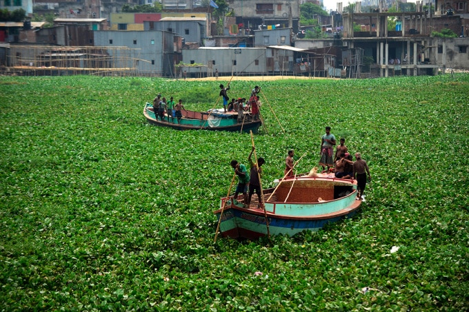 Những người lái thuyền Bangladesh di chuyển qua bèo lục bình dày đặc trên sông Buriganga năm 2014. Ảnh: AFP