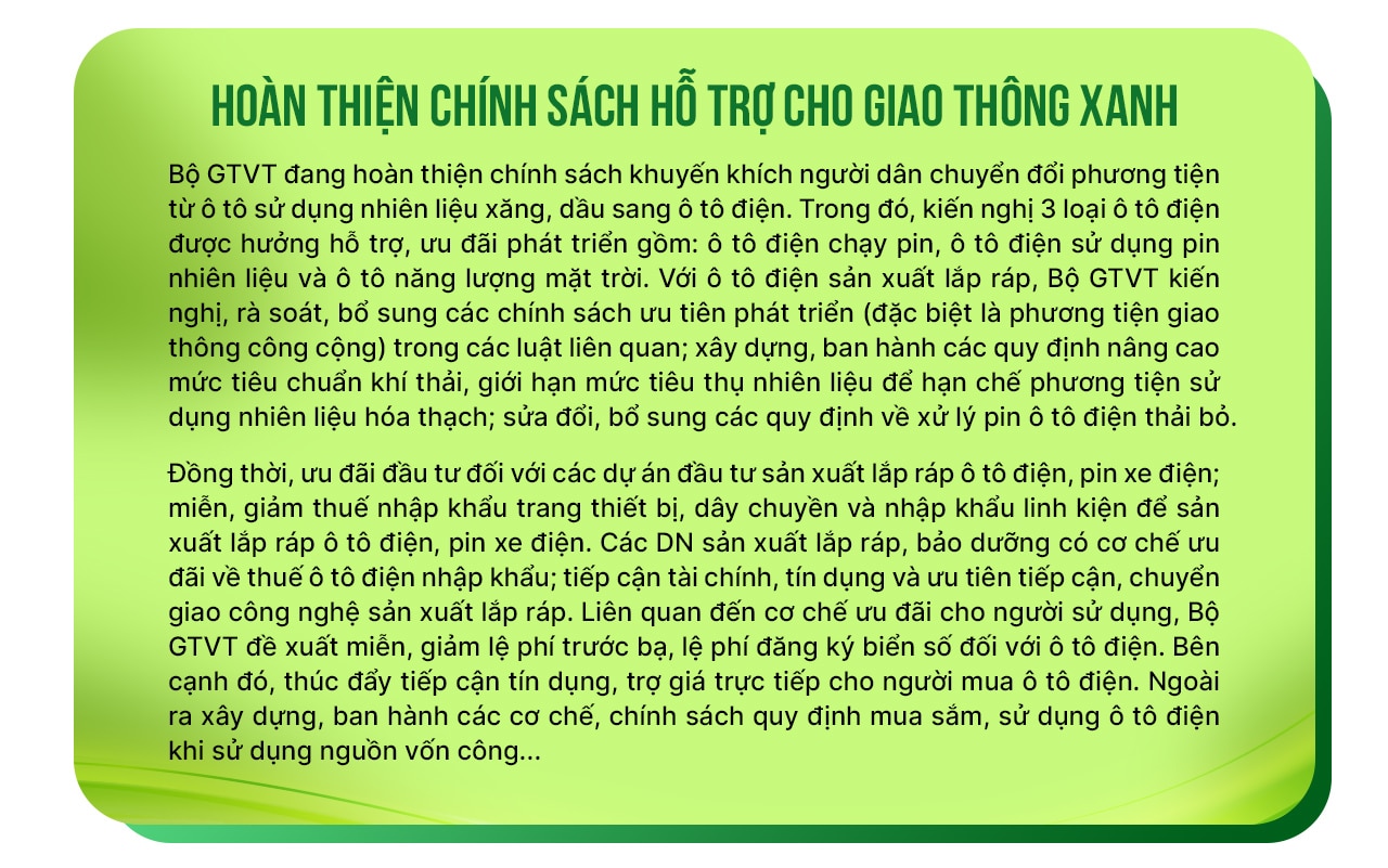 Việt Nam tăng tốc giao thông xanh - Ảnh 4.