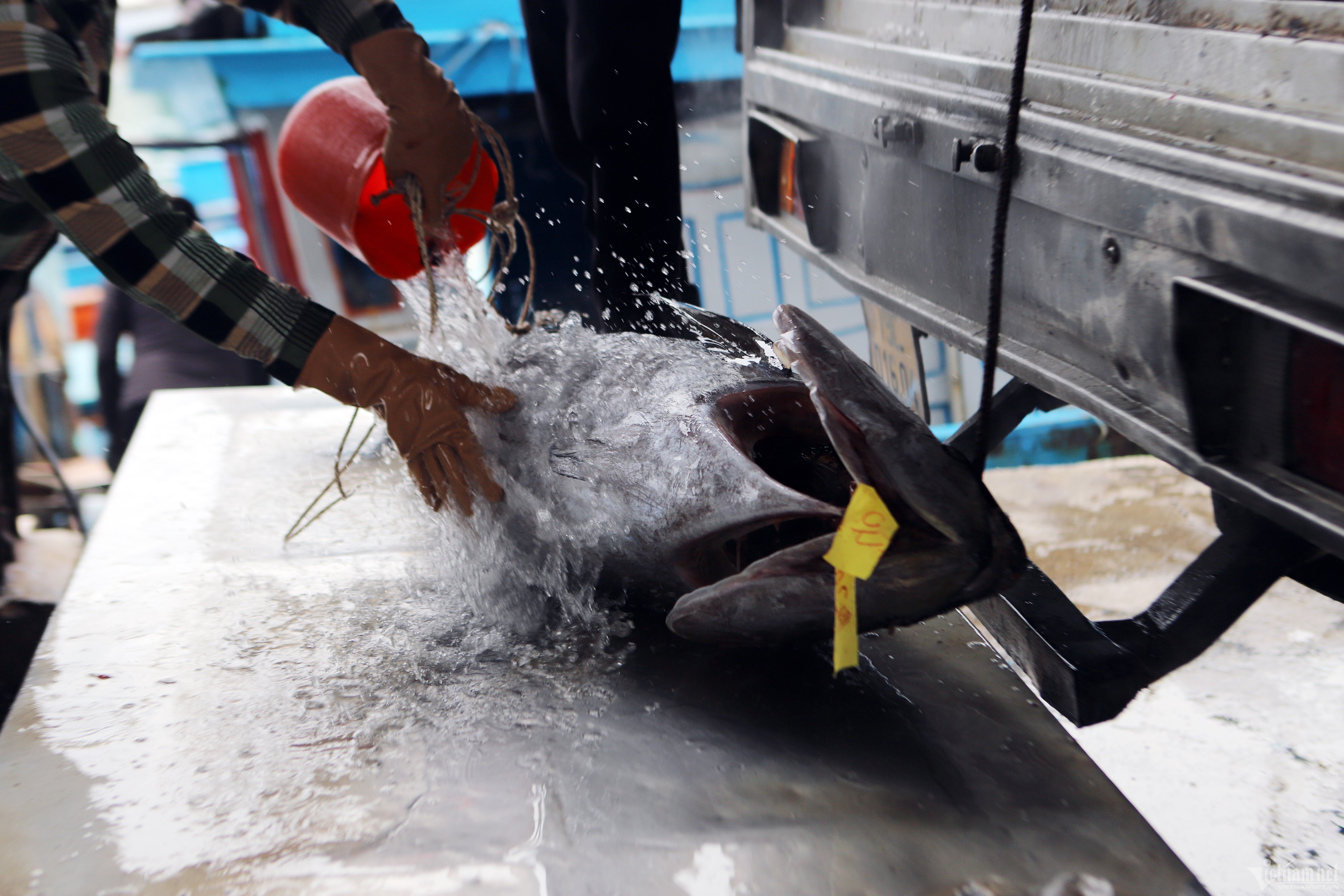 Khanh Hoa fishermen stick to the sea, trying to remove IUU 'yellow card' 