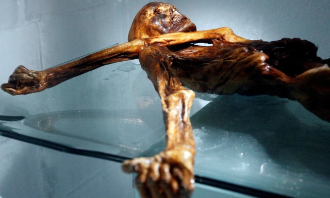 Xác ướp tự nhiên mang tên Người băng Otzi, phát hiện trên dãy Alps năm 1991. Ảnh: Andrea Solero/AFP
