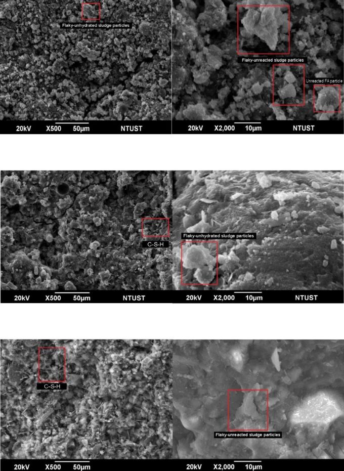 Hình ảnh dưới kính hiển vi vật liệu CLSM của nhóm nghiên cứu. Ảnh: NVCC