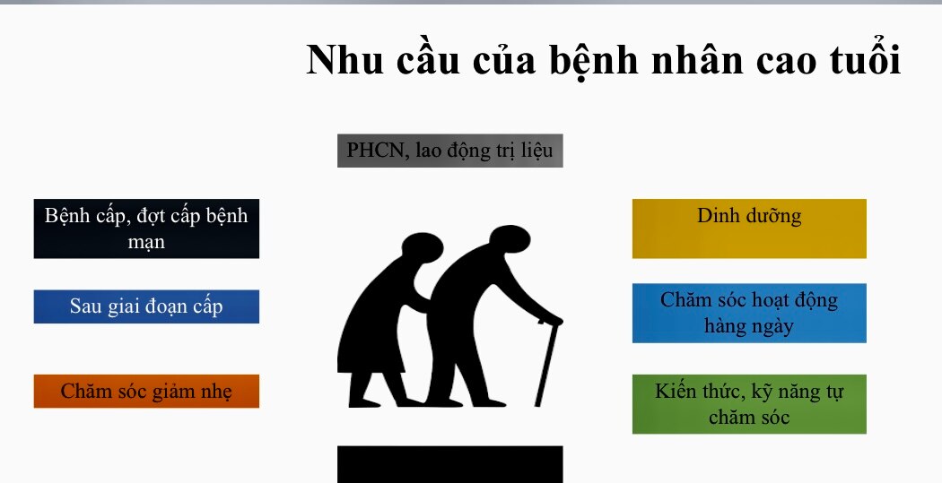 Người cao tuổi ở Việt Nam có 14 năm sống chung với bệnh tật - Ảnh 1.