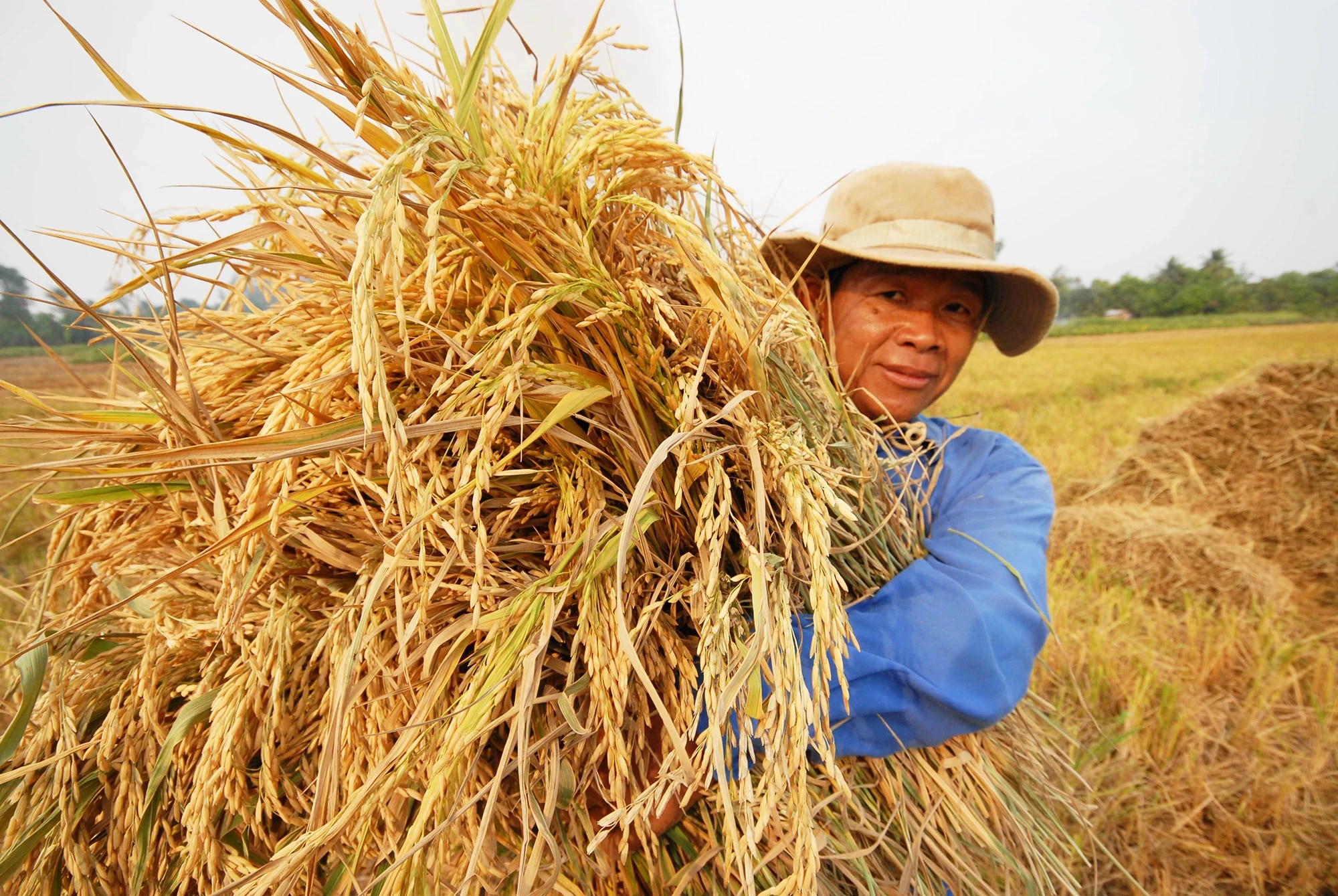 sombrero de arroz vietnamita