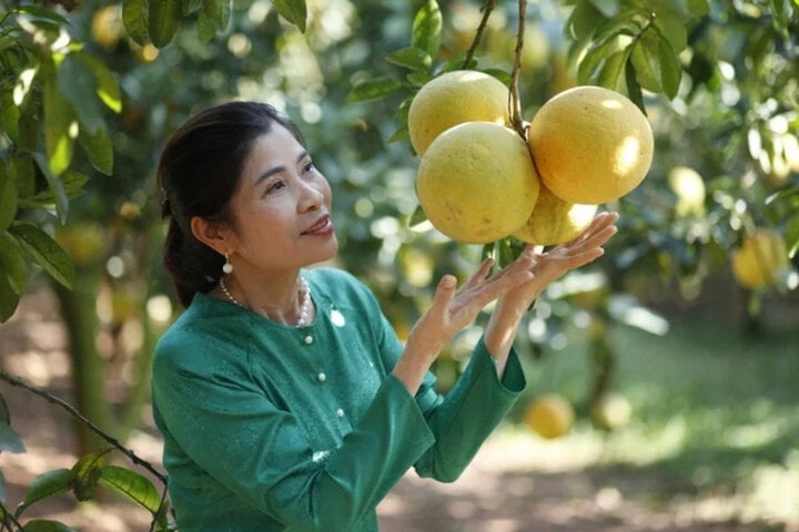 Những vườn cây ăn trái trĩu quả của Bắc Giang đang mở ra hướng đi mới cho địa phương này.