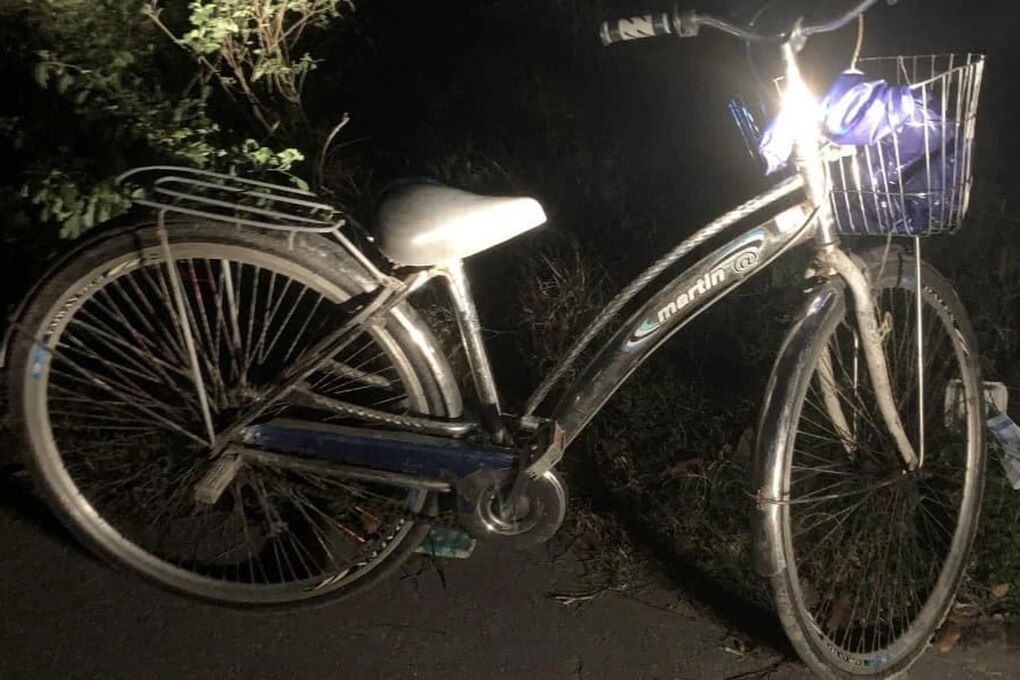 Bé trai 10 tuổi mất tích khi đạp xe đi chơi - 1