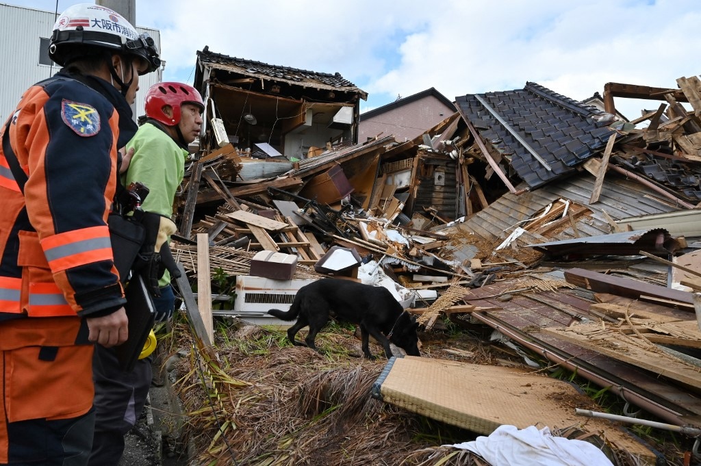 Chú chó cứu một cụ già trong động đất ở Nhật Bản- Ảnh 1.