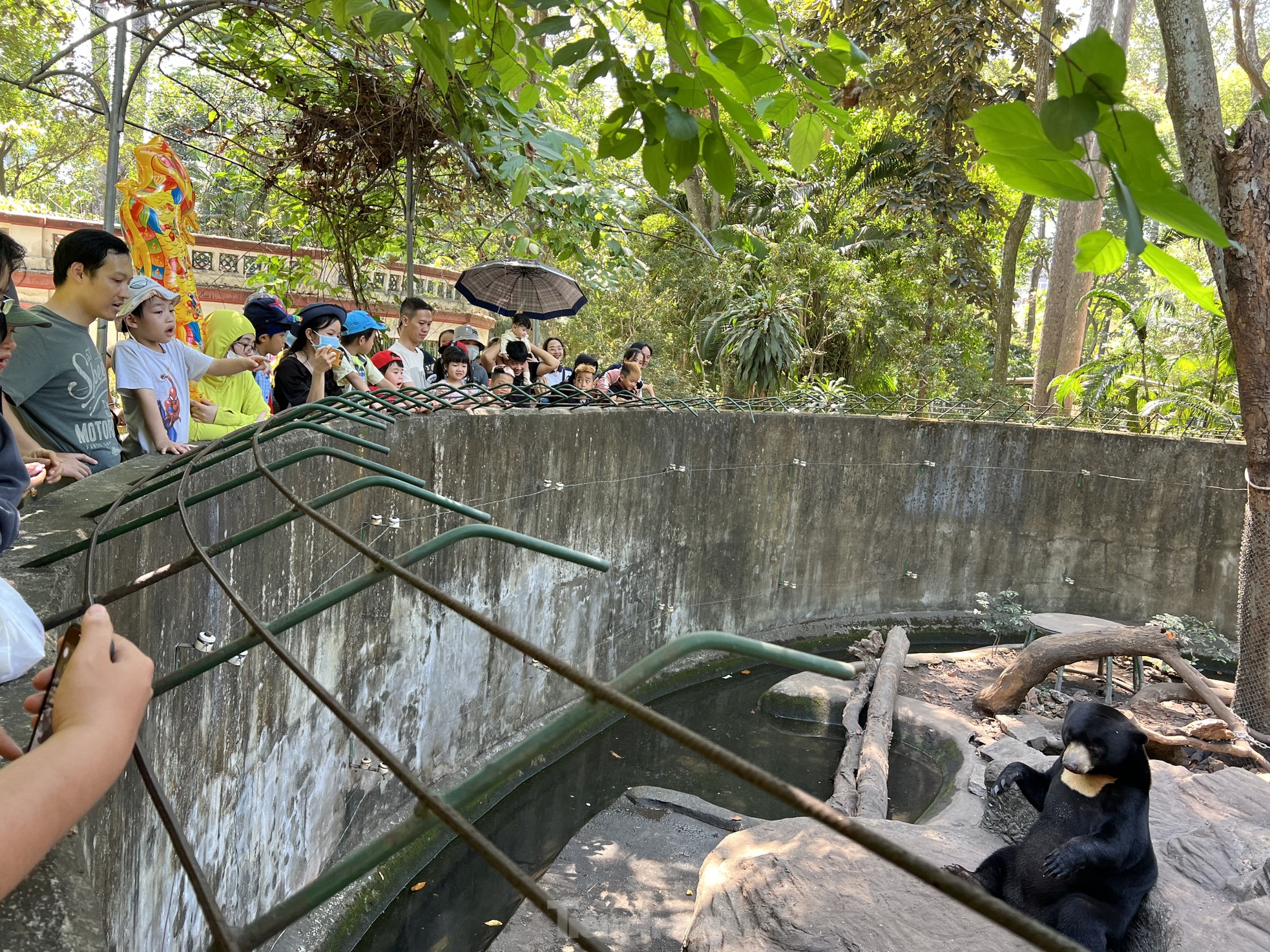 Внезапно увидел медведя... который ел мороженое в зоопарке Хошимина -  Vietnam.vn