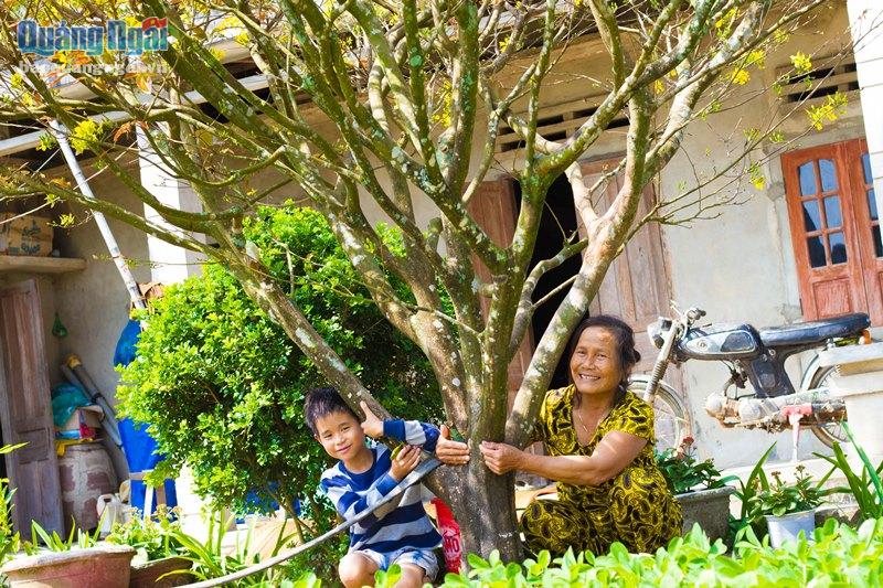 Vì sao một làng ở Quảng Ngãi ví như xứ sở ngàn mai, cả làng trồng mai đẹp mê mẩn mà chả bán bao giờ- Ảnh 5.