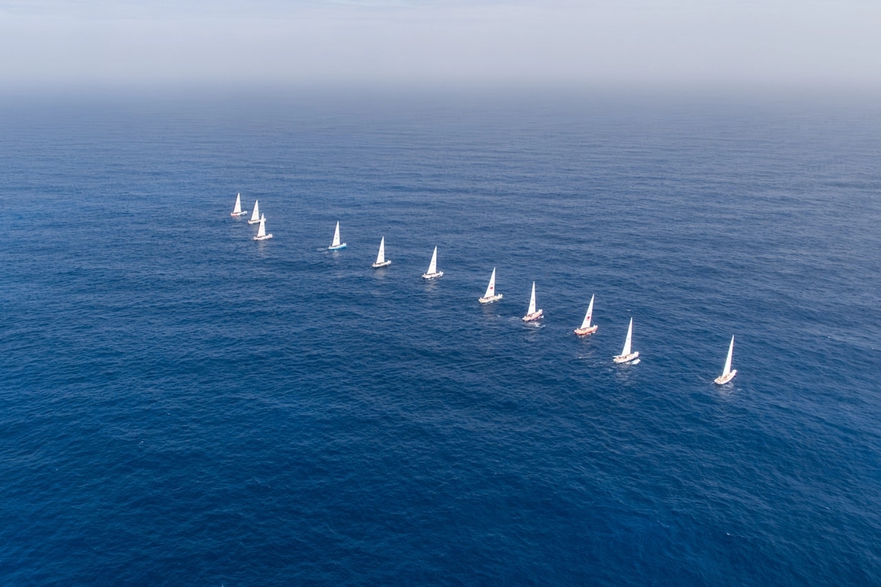Những đội đua thuyền buồm vòng quanh thế giới đầu tiên đến Hạ Long - 4