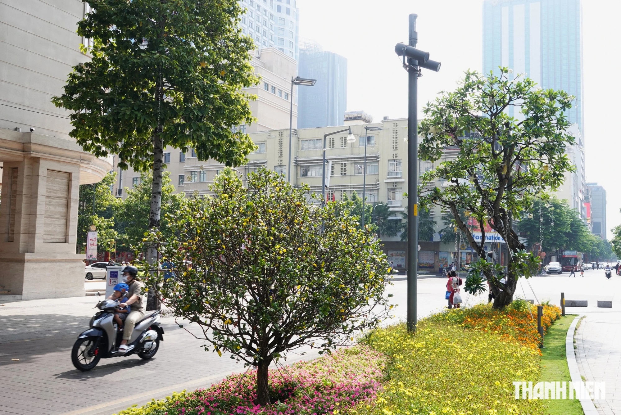 Công viên tượng đài Chủ tịch Hồ Chí Minh trước UBND TP.HCM thay 'áo mới' đẹp hơn- Ảnh 4.