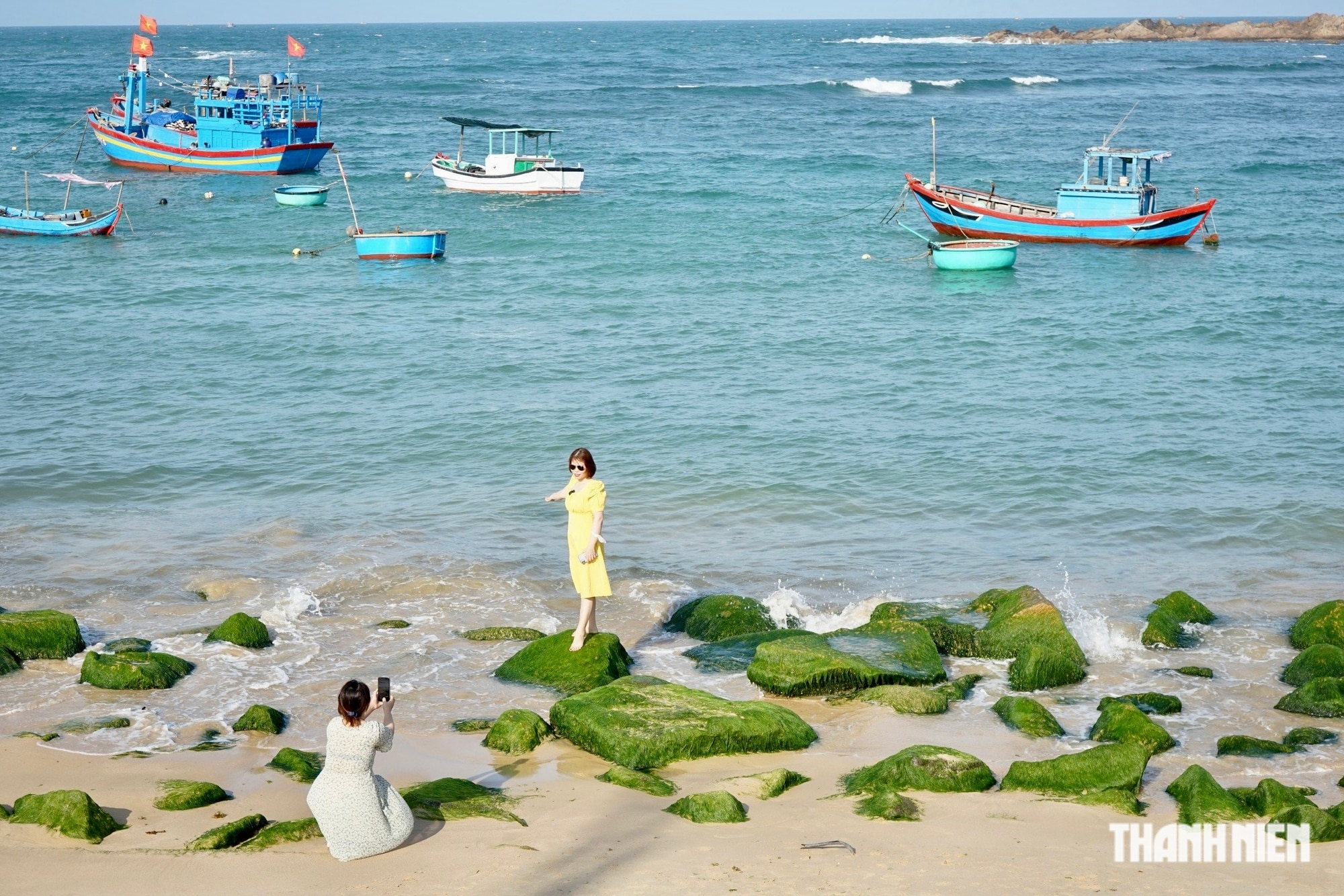 Ngắm mùa rêu xanh tuyệt đẹp ở biển Quy Nhơn- Ảnh 2.
