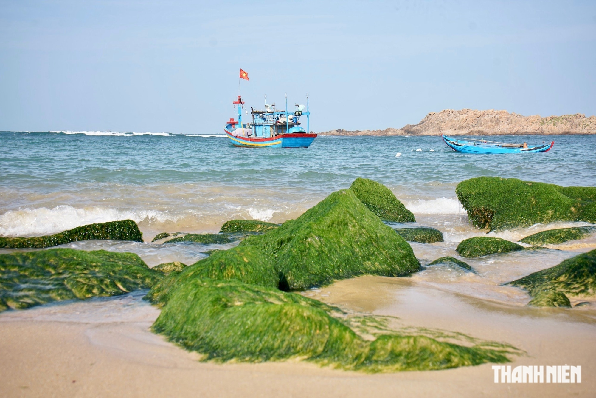 Ngắm mùa rêu xanh tuyệt đẹp ở biển Quy Nhơn- Ảnh 5.