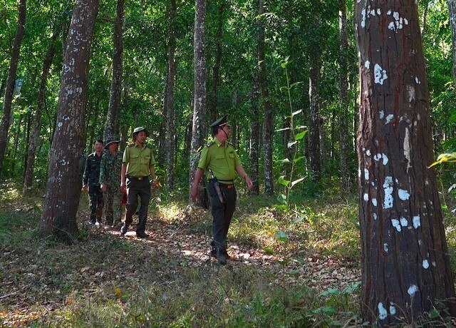Khám phá khu rừng quý còn nguyên vẹn ở Bà Rịa- Vũng Tàu ảnh 9