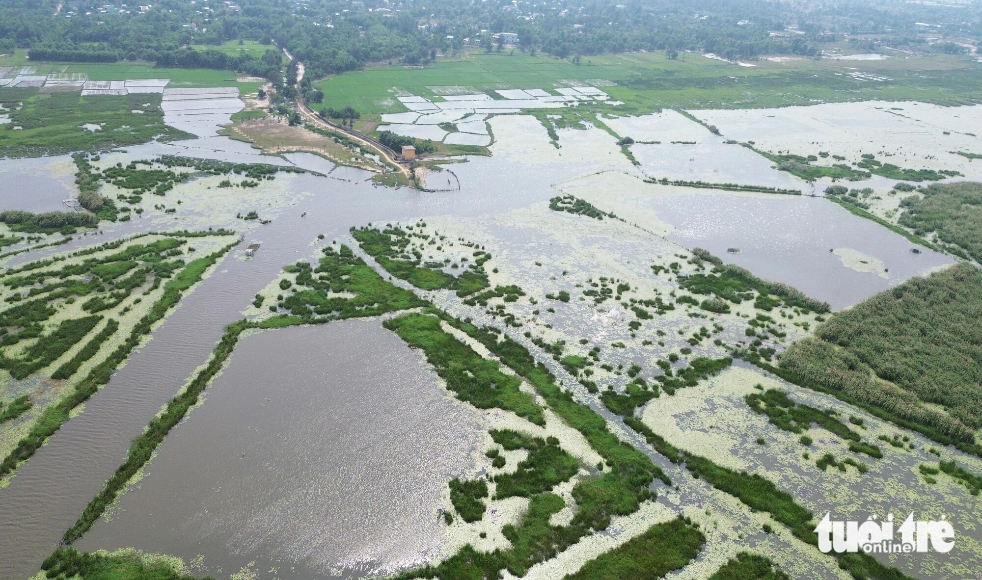Thành phố Tam Kỳ kiến nghị tỉnh lập hồ sơ để hình thành khu đất ngập nước và đa dạng sinh học sông Đầm và hướng đến một công viên thiên nhiên ở sông Đầm - Ảnh: LÊ TRUNG