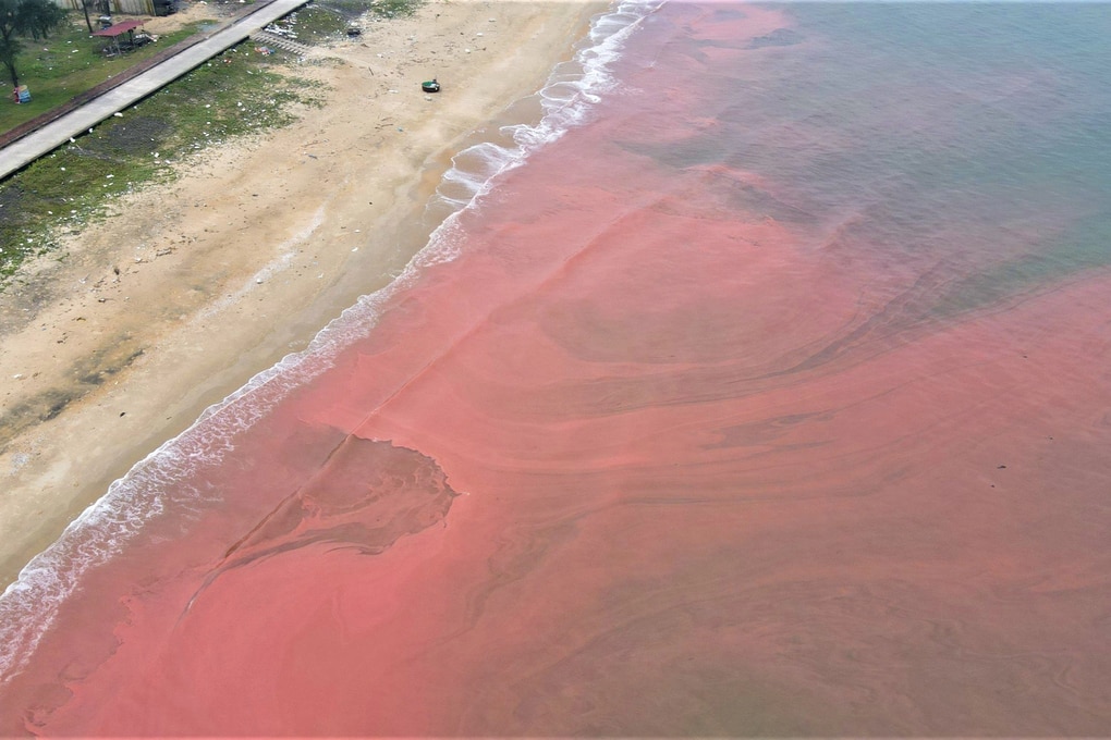 Lấy mẫu, tìm nguyên nhân nước biển chuyển màu đỏ ở Hà Tĩnh - 2
