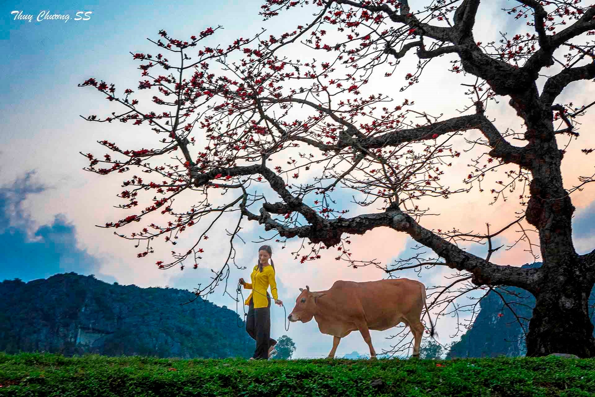 День по следам фотографов - Vietnam.vn