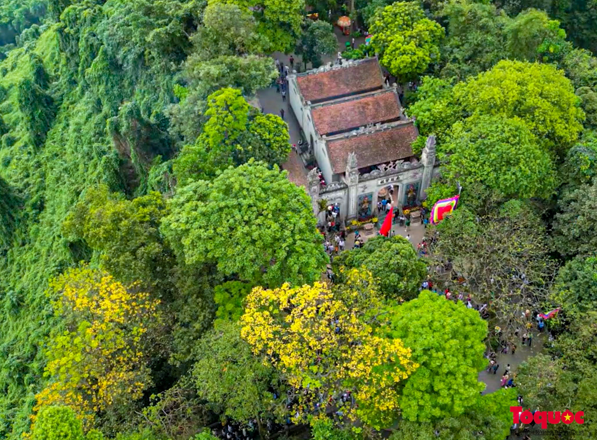 На священной горе Нгиа Линь цветет золотая лилия - Vietnam.vn