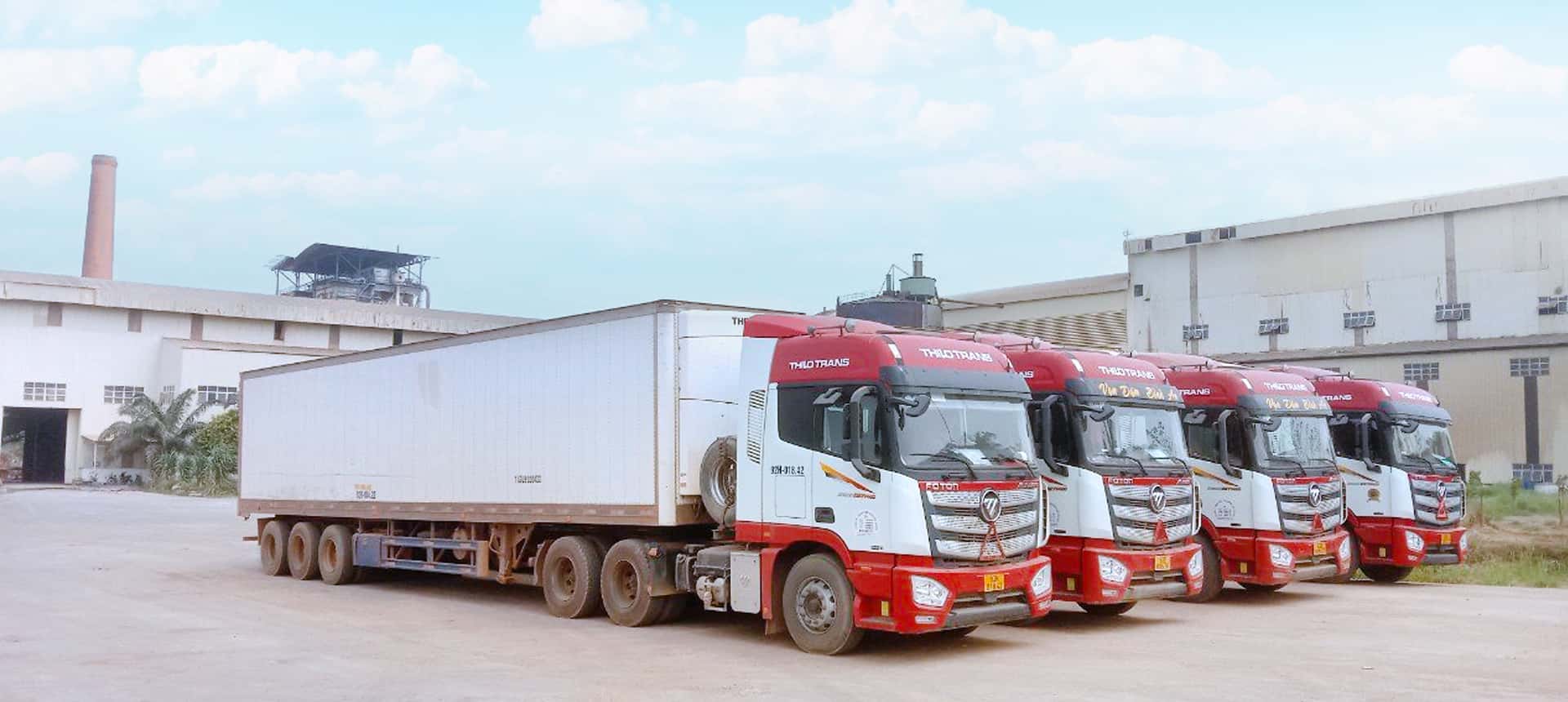 THILOTRANS promotes cross-border transportation of agricultural products to  serve customers - Vietnam.vn