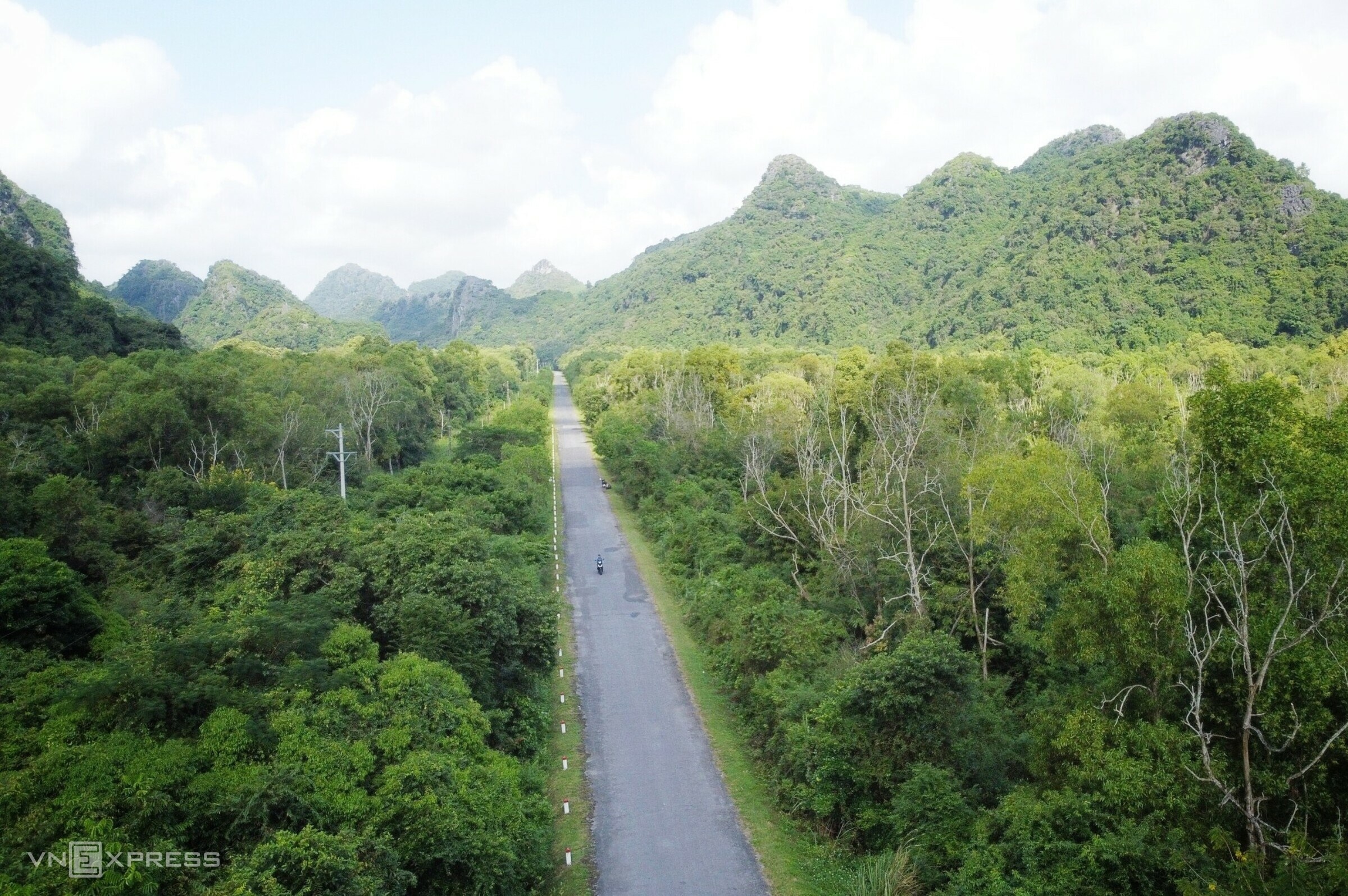 Треккинг 10 км по девственному лесу на острове Кат Ба - Vietnam.vn